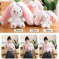 📢📢50% OFF !!!⏰Nice Gift🍓Strawberry Bunny Transformed into Little Rabbit🎀 Fruit Doll Plush Toy🐰