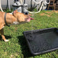 📢📢50 %  OFF⏰☀️Solar Fountain, Solar Powered Bird Bath Fountain Pump with 4 Nozzles 1.4W Solar Panel Kit Water Pump, Outdoor Watering Submersible Pump for Pond, Pool, Garden, Fish Tank🌊✨