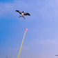 📢📢40% OFF !! ⏰Trend Kids Creative Elastic Fishing Rod Kite – Backyard & Travel Essential