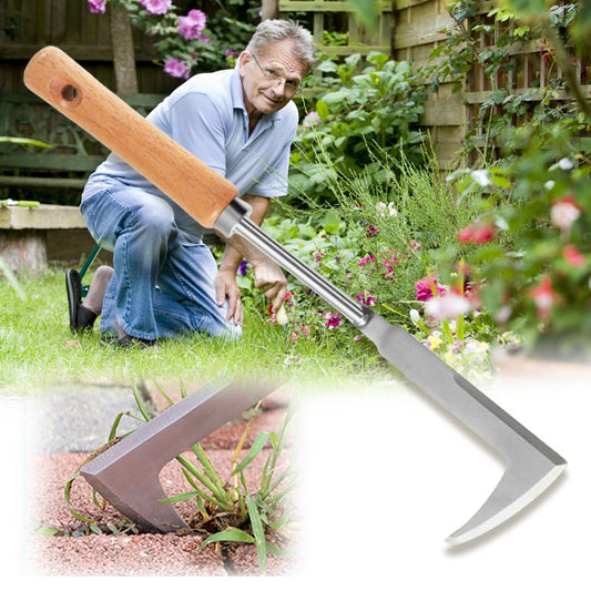 ⏳Limited-time 50% off⏰Multipurpose Crevice Weeding Tool🪝🌿