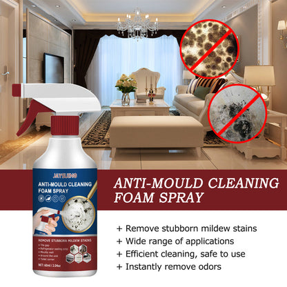 📢📢Buy 5 get 5 free ⏰Anti-Mould Cleaning Foam Spray