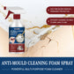 📢📢Buy 5 get 5 free ⏰Anti-Mould Cleaning Foam Spray