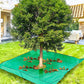 📢📢40% OFF !! ⏰2m × 2m Landscape Tarp for Trimming with 60cm Hole
