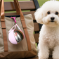 📢📢40% OFF !! ⏰2-in-1 Portable Dog Water Bottle for Small Dogs - Leak-Proof & Compact