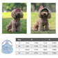 ☀️ Dog Sun Hat with Wide Brim — UV Protection, Breathable & Adjustable for Summer Walks