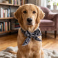 📢📢BUY 1 GET 1 FREE !! ⏰Summer Pet Cooling Collar Wrap