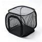 Collapsible Insect Mesh Cage