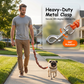 Playful Sausage Dog Leash