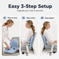 📢📢40% OFF !!⏰2026 Sale — Over 47,300 Sold!🪑 Ergonomic Memory Foam Seat Cushion with Back Support