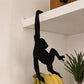 📢📢 50% OFF !! ⏰ 2026 Sale — Over 11 200 Sold!🐒 Monkey Shaped Banana Hook