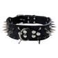 📢📢40% OFF !! ⏰Spiked PU Leather Dog Collar