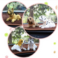 📢📢40% OFF !!⏰Cute Dog Bobblehead Car Dashboard Decoration