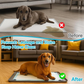 📢📢40% OFF !! ⏰ Waterproof Silicone Pet Training Pad Mat