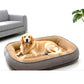 📢📢40% OFF !! ⏰ All‑Season Ergonomic Comfort Pet Bed – Snug, Breathable, Cozy ✨