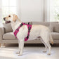 Outdoor Heavy Duty Dog Vest Harness
