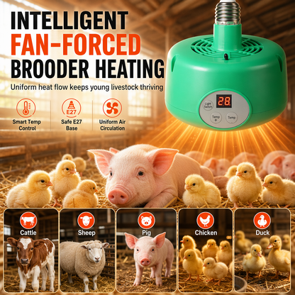 📢📢40%  OFF !! ⏰Pet Heat Lamp with Temperature Control