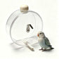 📢📢50% OFF !! ⏰Hanging Bird Drinker – Clear design & copper pin ✨